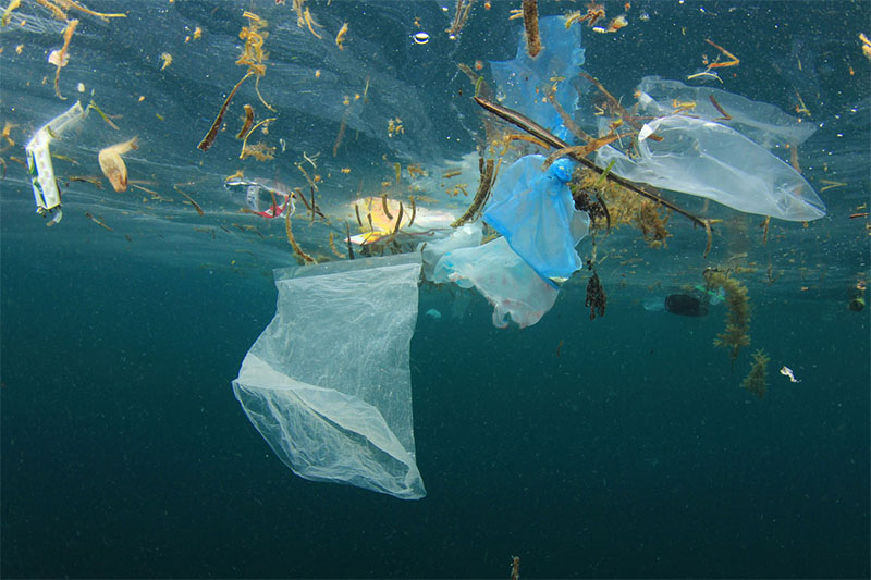 Read more about the article New Zealand Needs to Tax Plastic Bags