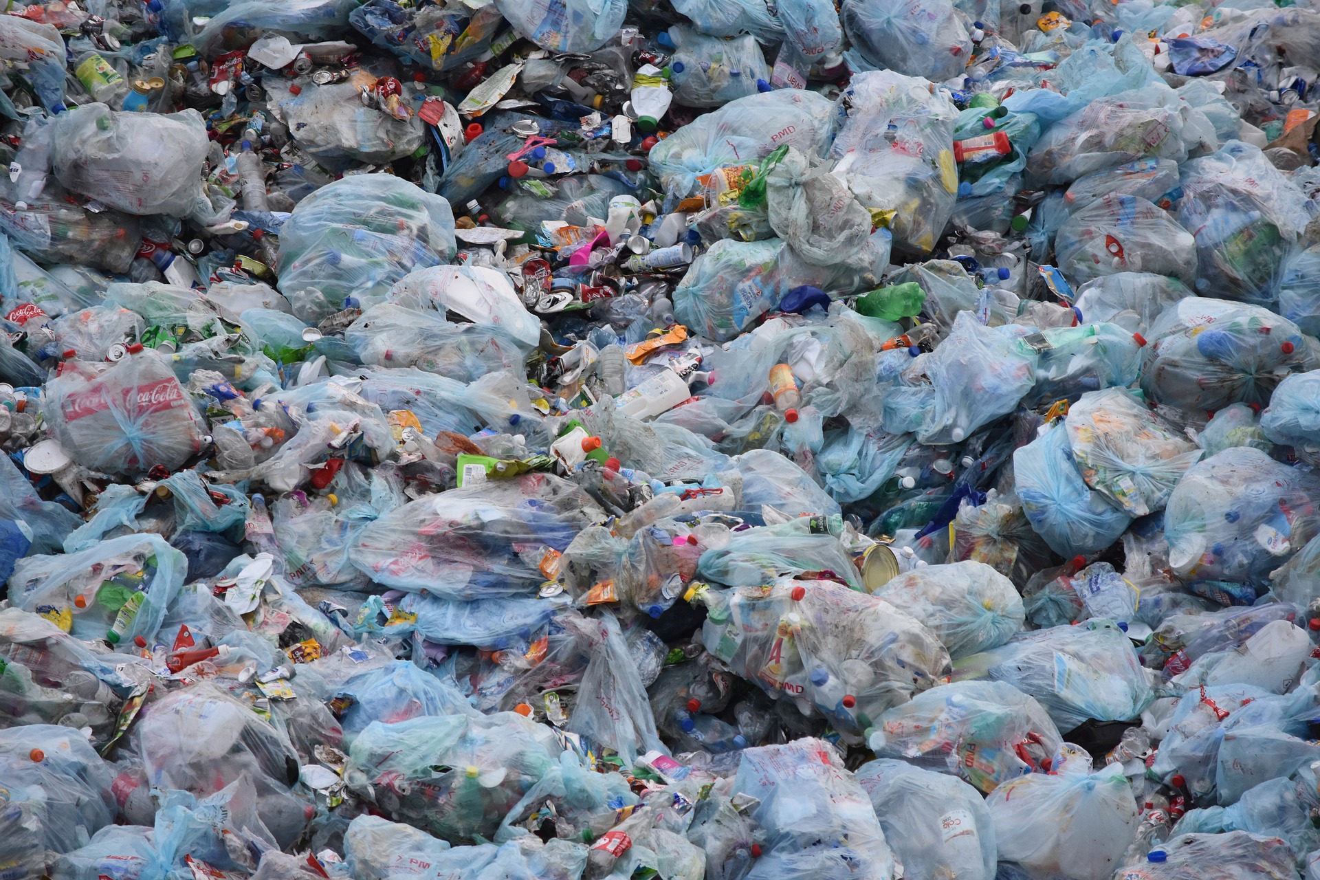 Read more about the article A Plastic Bag Rebuttal Letter