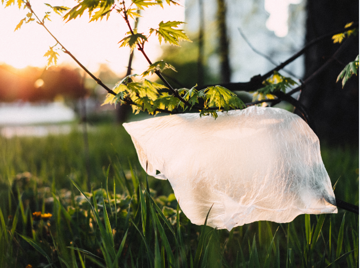 Read more about the article Change your behaviour, not the plastic bags.